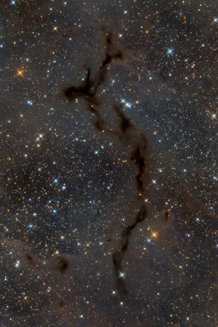 "Seahorse Nebula."

Yann SAINTY, CC BY-SA 4.0, via Wikimedia Commons. Color edits.