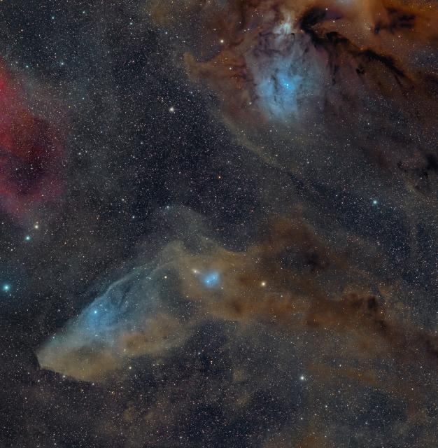 IC 4592 Blue Horsehead Nebula.

Giuseppe Donatiello, CC0, via Wikimedia Commons.