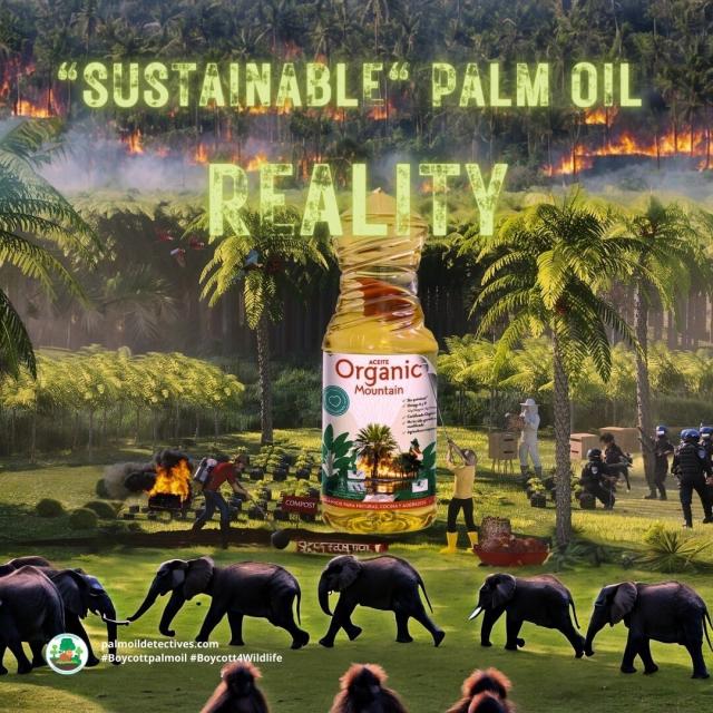 Good #News: A new EU law will prevent #greenwashing on product labels. Terms like “eco,” “biodegradable,” “environmentally friendly,” “natural” and “climate neutral” must have evidence to back it up or else cannot be on EU products  #Boycottpalmoil #Boycott4Wildlife  https://www.ecowatch.com/greenwashing-label-ban-europe.html
