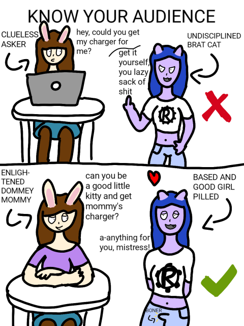 oh boy. uh. so it's a parody of the yoloswag comic format. the comic is called "know your audience". 

top panel: lynne is on her laptop. she asks a purple catgirl wearing a rust t-shirt to bring her her charger. the catgirl gives her the finger and replies "get it yourself, you lazy sack of shit". lynne is labelled "clueless asker", and the catgirl is labelled "undisciplined brat cat". there is a red cross marking the panel as incorrect.

bottom (haha) panel: lynne, now labelled "enlightened dommey mommy", puts on what are supposed to be bedroom eyes and asks "can you be a good little kitty and get mommy's charger?" the catgirl, now labelled "based and good girl pilled", swoons and replies "anything for you, mistress". she has a boner. it is labelled "boner". the panel is marked with a green check, indicating correctness.