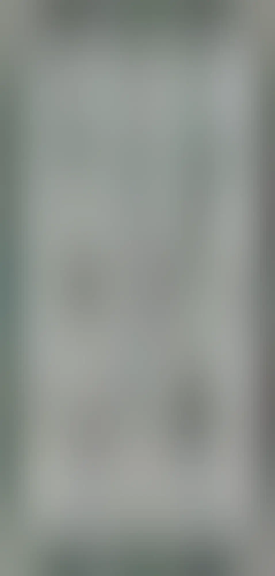 Another lichen drawing, this one saying 'what word to call us by'