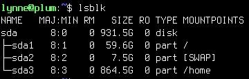 lsblk output showing the aforementioned terabyte