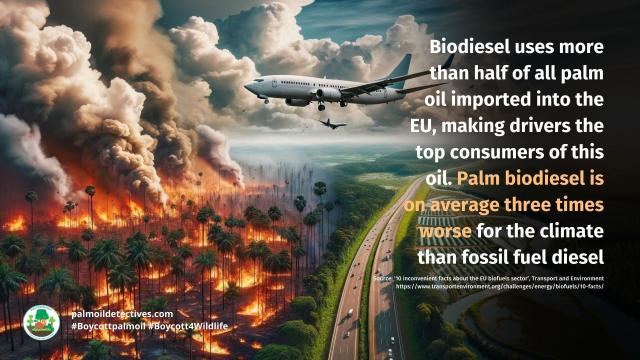 #News: So-called 'net zero' flight using #palmoil #biofuel labelled as blatant #greenwashing as it comes from destroyed rainforest #Boycottpalmoil #Boycott4Wildlife https://www.opendemocracy.net/en/virgin-atlantic-world-first-transatlantic-net-zero-flight-saf-sustainable-aviation-fuel-cop28/