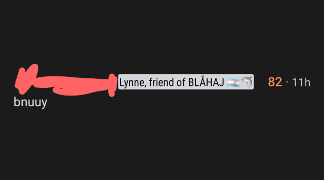 reddit comment by a user with the flair "lynne, friend of blahaj 🏳️‍⚧️🦈"

comment reads: bnuuy