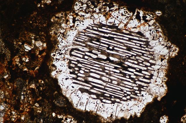 NWA 5930 Meteorite Thin Section microphotograph.

Solar Anamnesis, CC BY-NC-SA 2.0 via Flickr: https://flic.kr/p/2jaaGaB