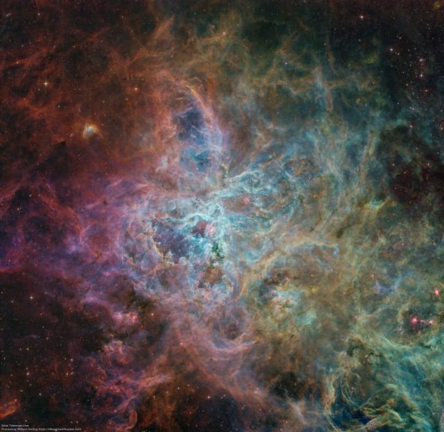 "The Tarantula Nebula."

William Ostling, CC BY 2.0, via Wikimedia Commons or Flickr: https://flic.kr/p/2oB5aph