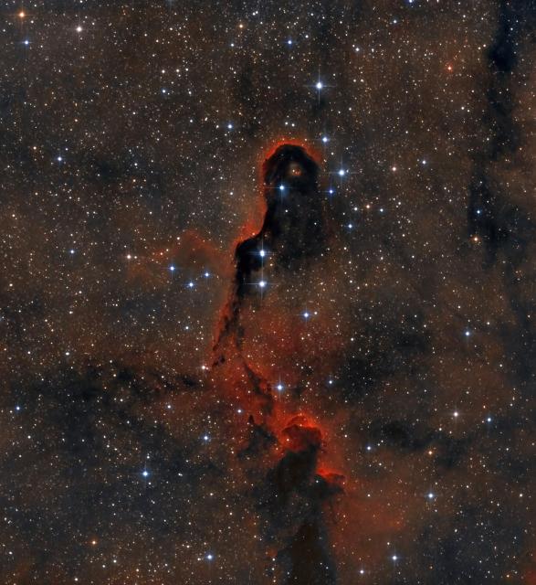 "Elephant Trunk Nebula in Ha OIII."

Darko7411, CC BY-SA 4.0, via Wikimedia Commons.