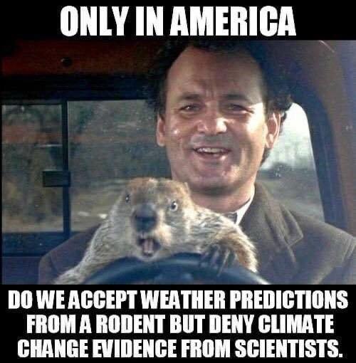 “Only in America do we accept weather predictions from a rodent but deny #ClimateChange evidence from scientists.”