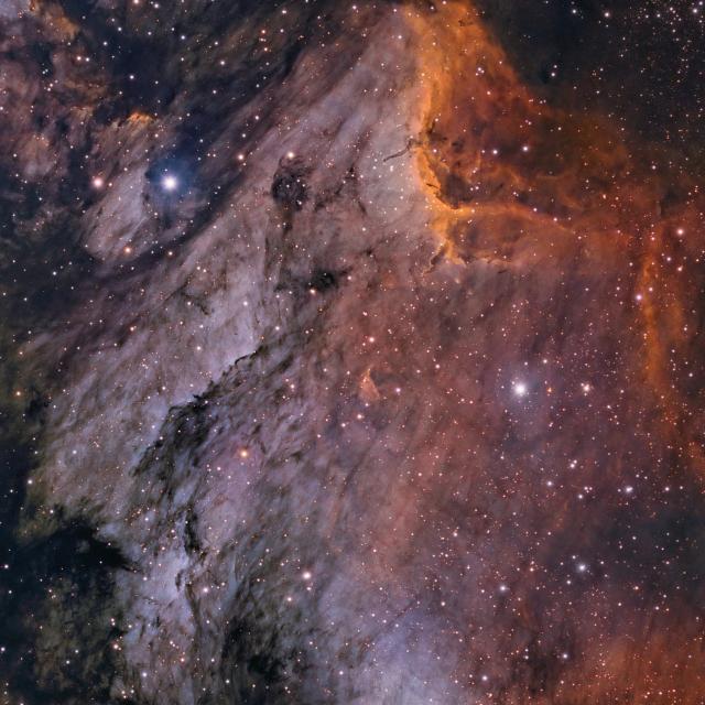 "IC 5070 - Pelican Nebula."

Giuseppe Donatiello, CC0, via Wikimedia Commons.