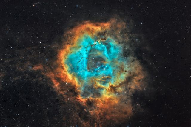 "Rosette Nebula in Hubble Pallet."

Helber Pontes, CC BY-SA 4.0, via Wikimedia Commons.
