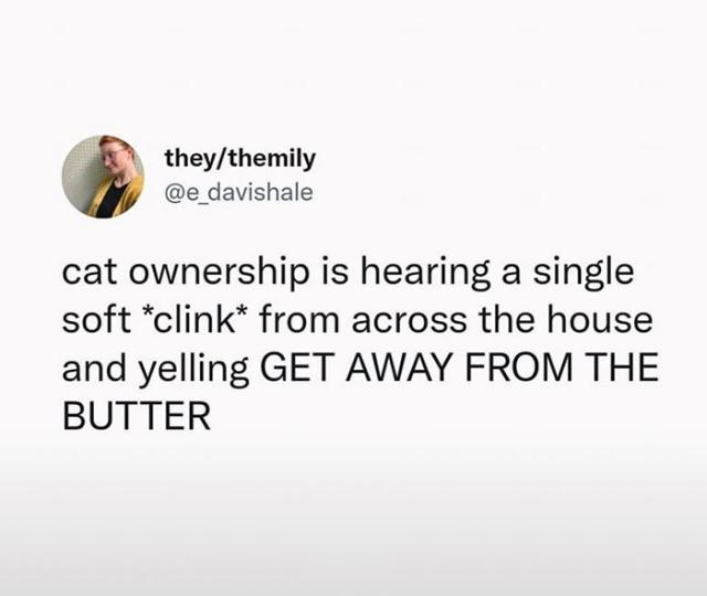 cats and butter