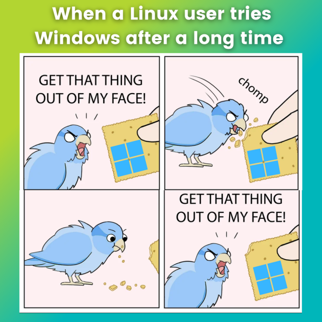 When a Linux user tries Windows after a long time.

There are four panels:

A bird is given a cracker called Windows, it chomps on it, processes it, then says, “get that thing out of my face!”.

The bird here is a Linux user.