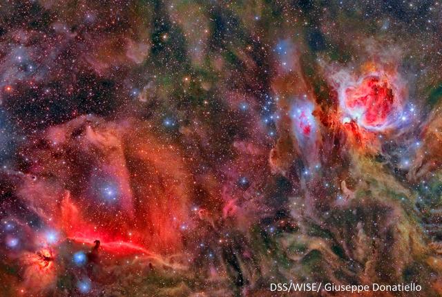 The Orion Molecular Cloud Complex & Orion OB1 Association.

DSS/WISE/Giuseppe Donatiello, CC0, via Wikimedia Commons.