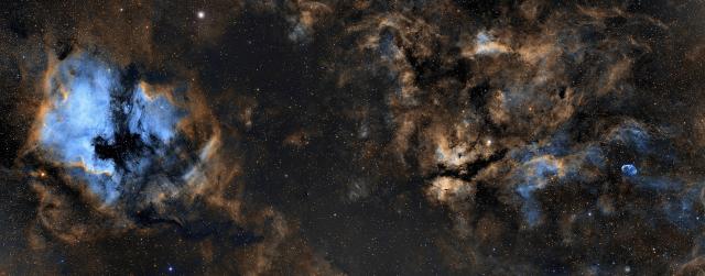 "Cygnus region in Hubble Palette."

Luka.psk, CC BY-SA 4.0, via Wikimedia Commons.