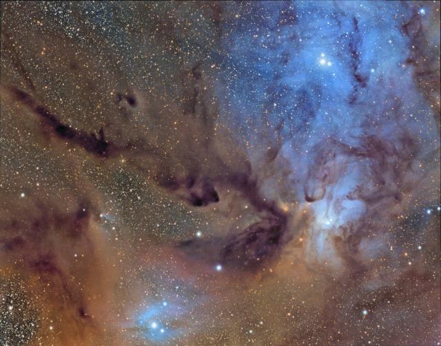 "Rho Ophiuchi Credit: Leonardo Ciuffolotti, Matteo Collina, Riccardo De Benedictis, Giuseppe Donatiello, Rolando Ligustri."

Giuseppe Donatiello, CC0, via Wikimedia Commons.