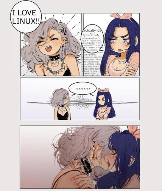 that meme where the girls argue and then kiss. girl A says "i love linux", girl B says "actually it's gnu/linux" and then has a rant that spills out of the text bubble. both girls lock eyes and then kiss passionately