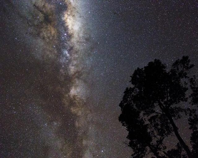"Milky Way Galaxy and the Pohutukawa."

Dave Young from New Zealand, CC BY 2.0, via Wikimedia Commons.