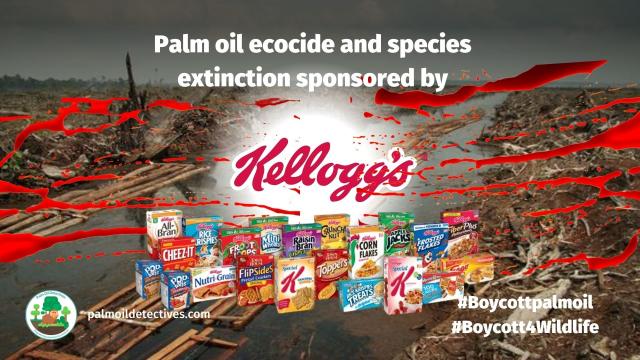 #New: Feb 2024 Environmental Investigation Agency report shows #palmoil & #cocoa has fueled illegal 13000ha of #deforestation in Peru's #Amazon implicating big brands #Kelloggs #Nestle and #Colgate. Take action and protect our forests! #Boycottpalmoil #Boycott4Wildlife https://us.eia.org/press-releases/illegal-amazon-deforestation-as-peru-forgives-past-forest-crimes/ @EU_Commission@social.network.europa.eu @euractiv_green@eupolicy.social 