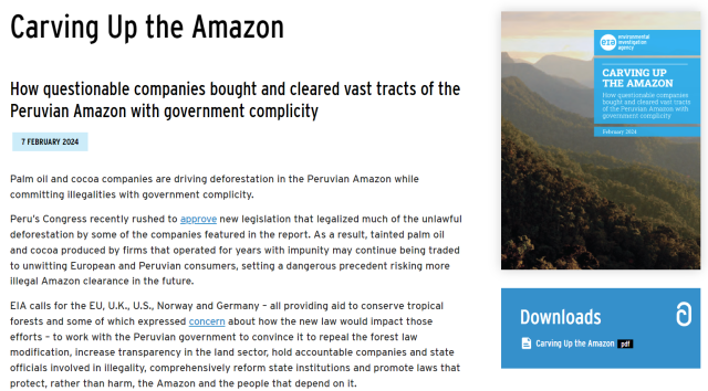 IEA's Carving Up the Amazon report webpage.