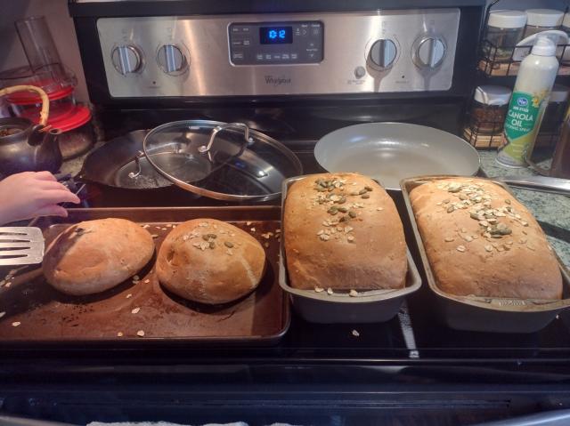 Two round loaves and two loaves in rectangular bread pans.