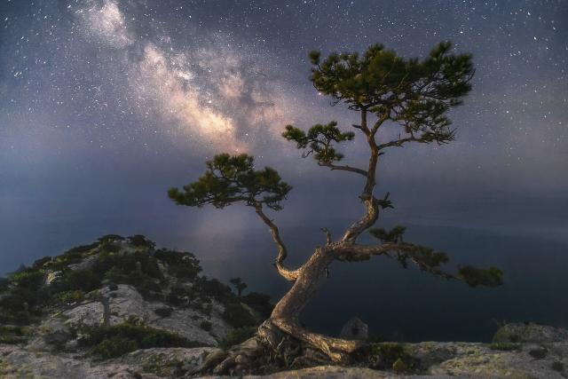 "Peak Cosmos."

Yuriy Stolypin, CC BY 4.0, via Wikimedia Commons.