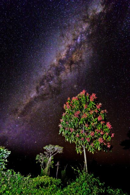 Milkyway from Parque Estadual Encontro das Águas in the northern Pantanal, Brazil.

Thomas Fuhrmann, CC BY-SA 4.0, via Wikimedia Commons. Color edits.