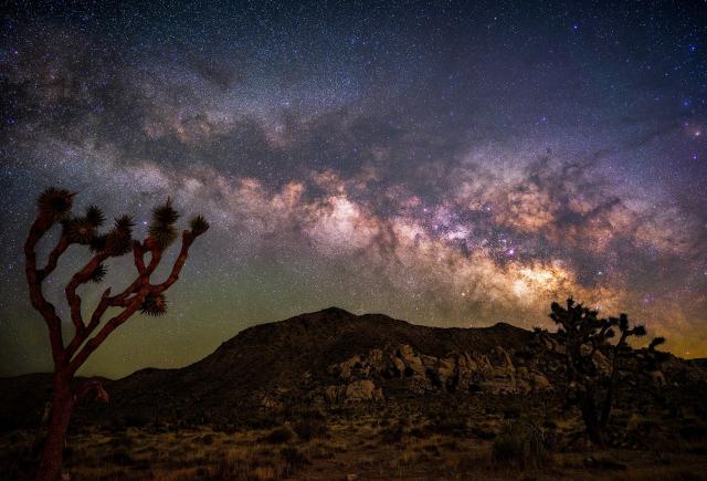 "Joshua Tree Milky Way."

Benjamin Inouye, CC BY 4.0, via Wikimedia Commons.