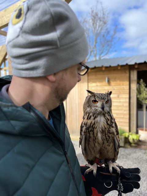 A person wearing a beanie and glasses with a Long Eared owl perched on their gloved hand.