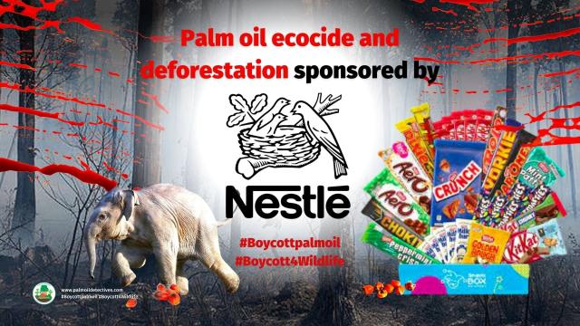 boycott Nestle 

#News: Up to half of the Amazon rainforest could hit a tipping point by 2050 as a result of water stress #deforestation #goldmining and #climate disruption, a study has shown. #Boycott4wildlife https://www.theguardian.com/environment/2024/feb/14/amazon-rainforest-could-reach-tipping-point-by-2050-scientists-warn
