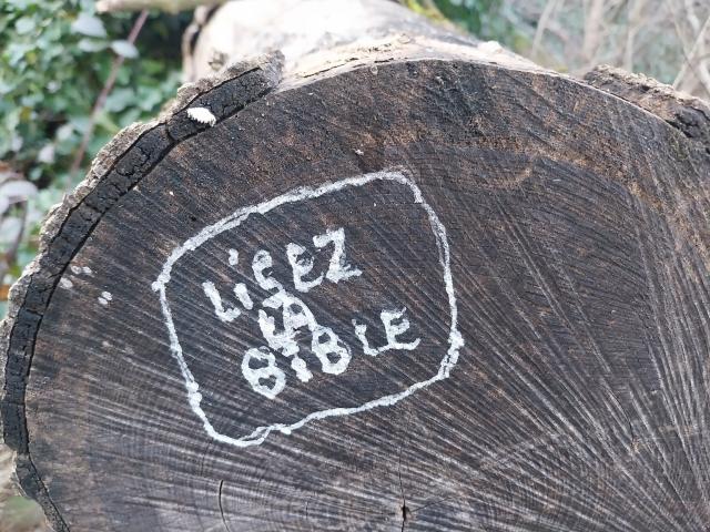 graffiti on the end of a log, reading "lisez la bible"