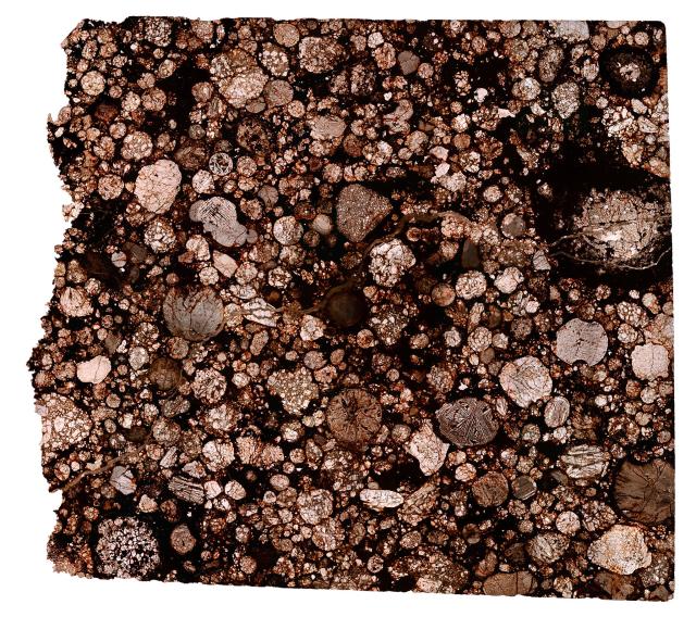 "Northwest Africa (NWA) 8773 Meteorite Thin Section."

Solar Anamnesis, CC BY-NC-ND 2.0 via Flickr: https://flic.kr/p/2kUk7Zp