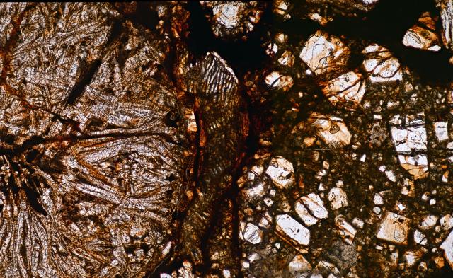 Microphoto of the Northwest Africa (NWA) 8773 Meteorite.

Solar Anamnesis, CC BY-NC-SA 2.0 via Flickr: https://flic.kr/p/2kUHAgC