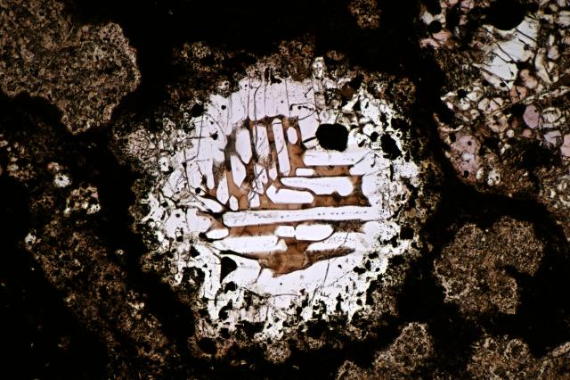 Microphoto of the Allende Meteorite.

Solar Anamnesis, CC BY-NC-SA 2.0 via Flickr: https://flic.kr/p/2grnyJy