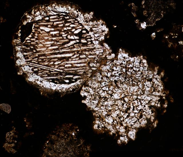 Microphoto of the Northwest Africa (NWA) 2224 Meteorite.

Solar Anamnesis, CC BY-NC-SA 2.0 via Flickr: https://flic.kr/p/2gni6ZP