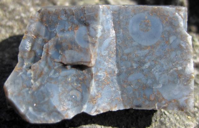 "Chertified encrinite (Fort Payne Formation, Lower Mississippian; Rt. 61 roadcut, north of Burkesville, Kentucky, USA)."

James St. John, CC BY 2.0, via Wikimedia Commons or Flickr: https://flic.kr/p/24SCbj7