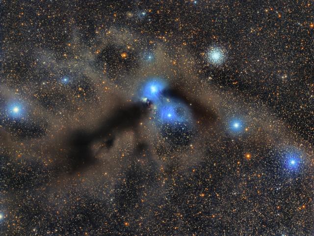 "Corona Australis Molecular Cloud."

Ivan Bok, CC BY 4.0, via Wikimedia Commons.