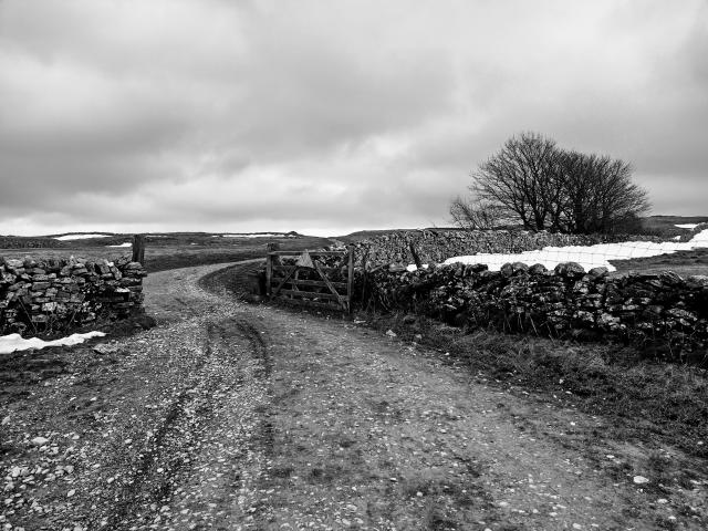 A rough gravel track winds away into the distance, through an open gate in an old stone wall. There are some stark winter trees black against an overcast sky. In the shadow of the wall, there's a deep bank of white snow, echoed by more white strips in the hollows of the hill.