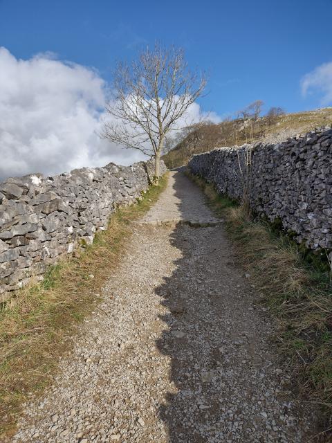 A walled gravel path climbs gradually up the hill towards a rough outcrop of limestone scar. There's some bare winter trees, patches of grass, and the sky is a bright blue with large billowing white clouds. There's a clean feeling to the scene - on the boundaryline of winter and spring.