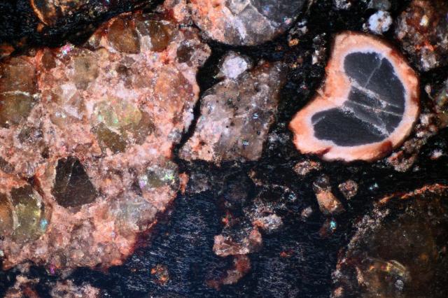 Microphoto of the Northwest Africa (NWA) 6472 Meteorite Surface of Slice.

Solar Anamnesis, CC BY-NC-SA 2.0 via Flickr: https://flic.kr/p/2ezYDY1