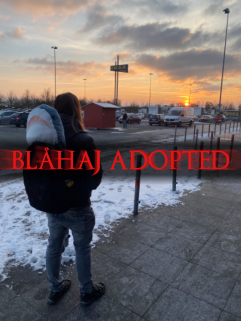 Dark Souls NOUN VERBED-type text reading "BLÅHAJ ADOPTED". I am standing on an IKEA parking lot, seen from behind with a massive blåhaj sticking out of the backpack, looking to the sun set.