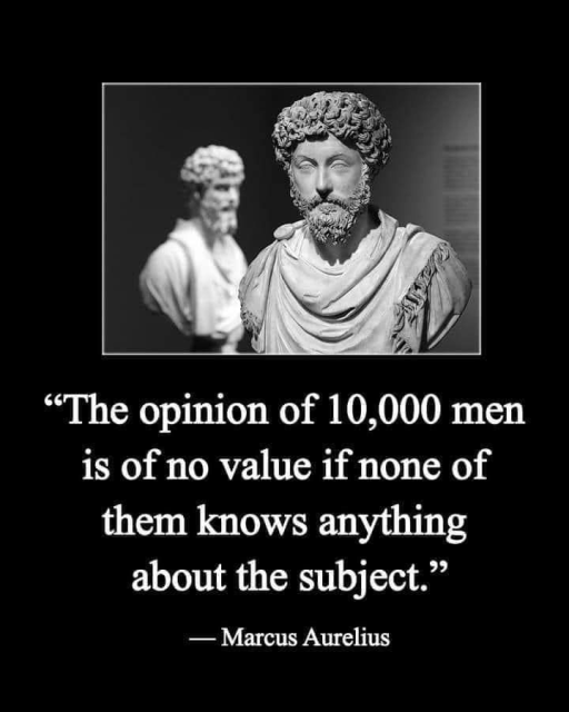 “The opinion of 10,000 men is of no value if none of them knows anything about the subject.” — Marcus Aurelius 