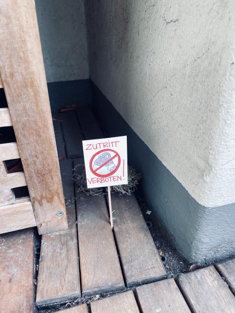 Vor einer kleinen Nische auf unserem Balkon steht ein selbst gebasteltes Schild auf dem Gurrsula die Taube zu sehen ist, durchgestrichen und dabei steht Zutritt verboten! 
