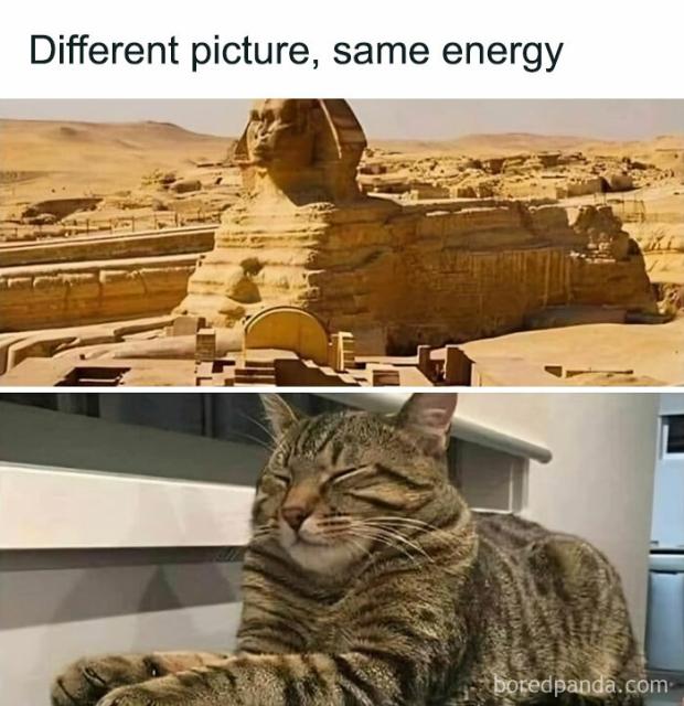 cat and sphinx