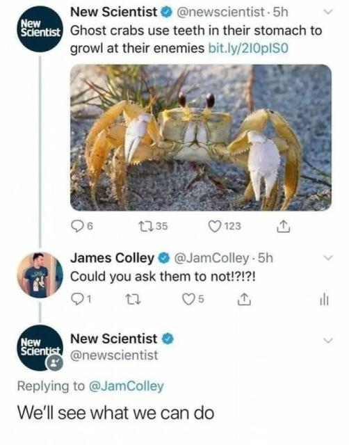 New Scientist