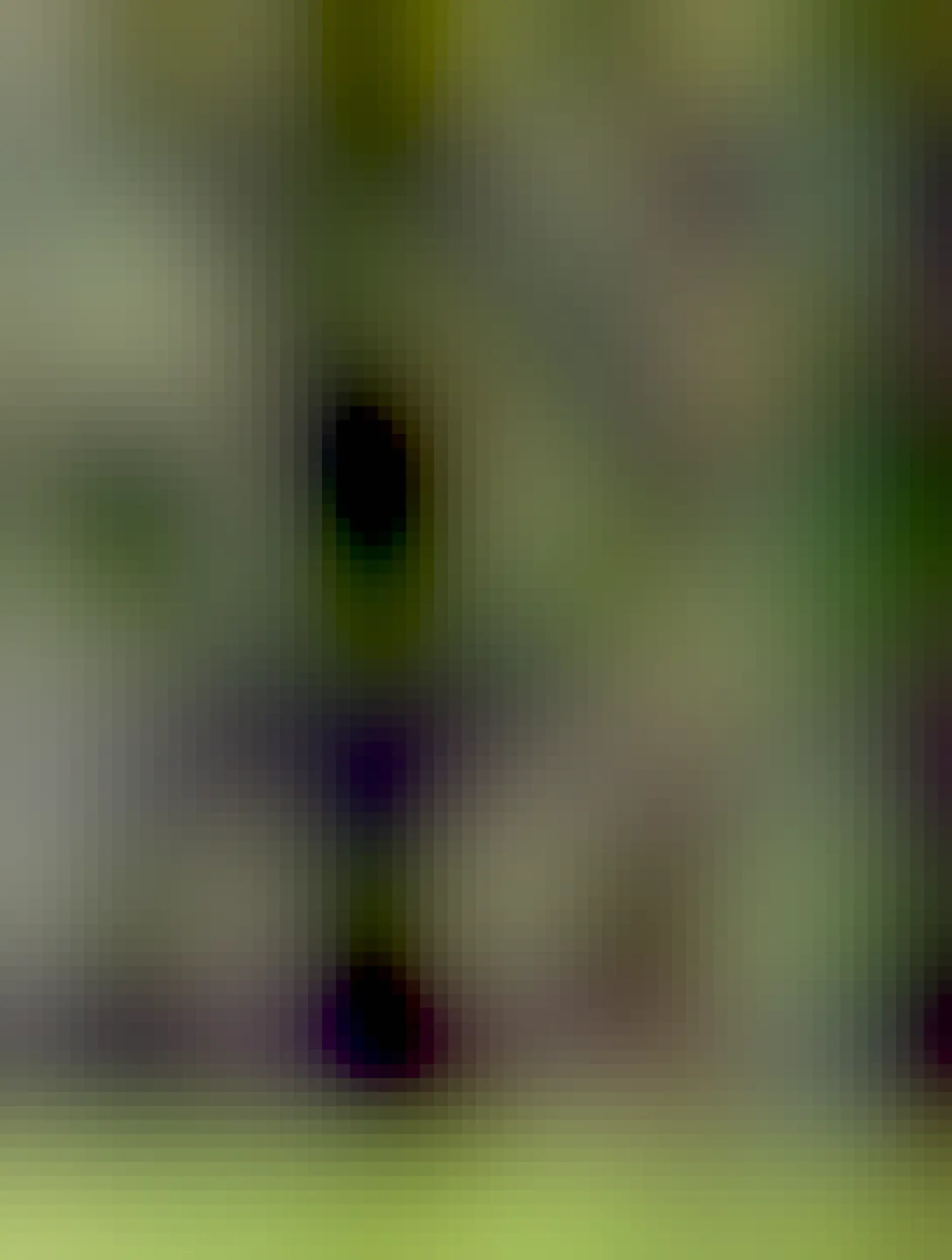 A Victorian gothic chapel entrance with an ivy covered tree, everything tinted with green because it’s all covered in moss and algae