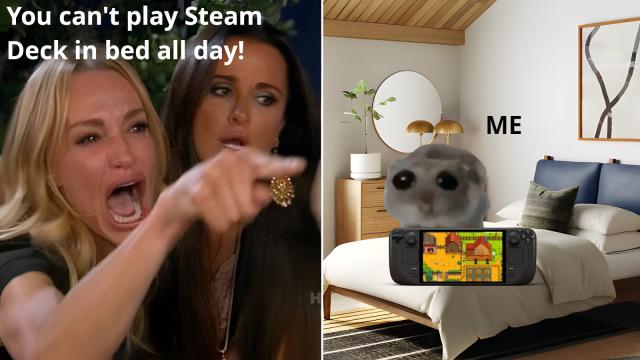 A meme of woman yelling at cat: "you can't play steam deck in bed all day"

Next to the tiktok viral sad hamster with a steam deck on a bed