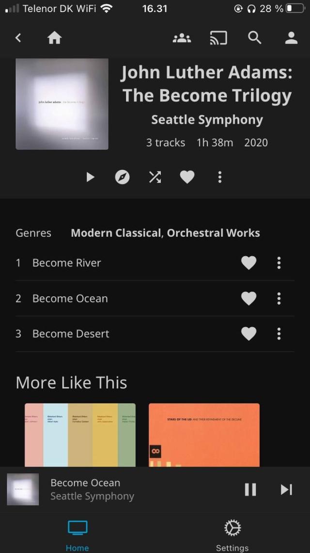 A screenshot of the JellyFin iphone app in action.