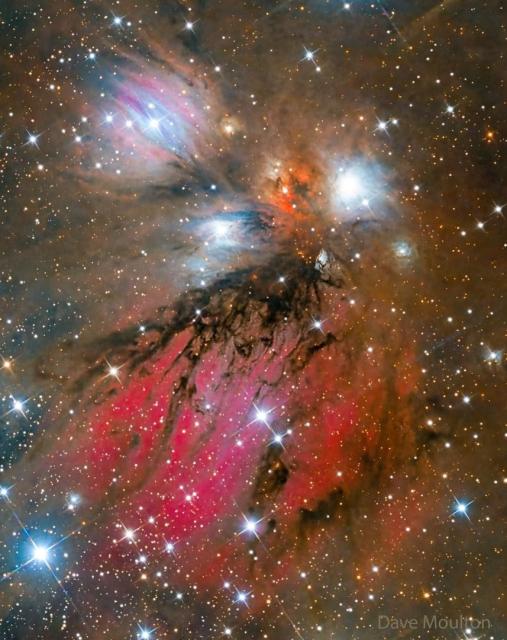 A complex jumble of colorful gas and dark dust dominate a bright field of stars.