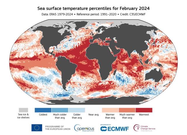 Sea surface temperature percentiles for February 2024 Data: ERA5 1979-2024 • Reference period: 1991-2020 • Credit: C3S/ECMWF Sea ice & ice shelves Coldest Much colder than avg Colder than avg Near avg Warmer than avg Much warmer than avg Warmest PROGRAMME OF THE EUROPEAN UNION Copernicus Europe's eyes on Earth MPLEMENTED BY * ECMWF Climate Change Service
