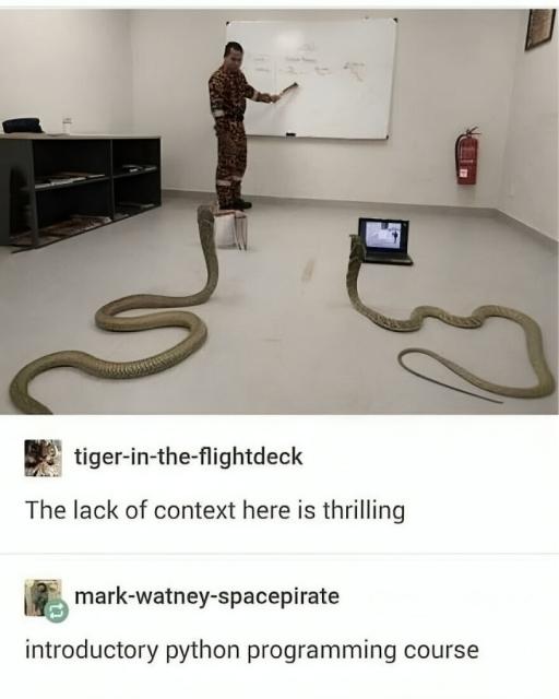 python programming